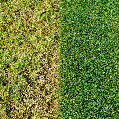Evergreen 4 in 1 - Miracle gro 4 in 1 - Miracle-Gro® EverGreen Complete 4-in-1 Lawn Care