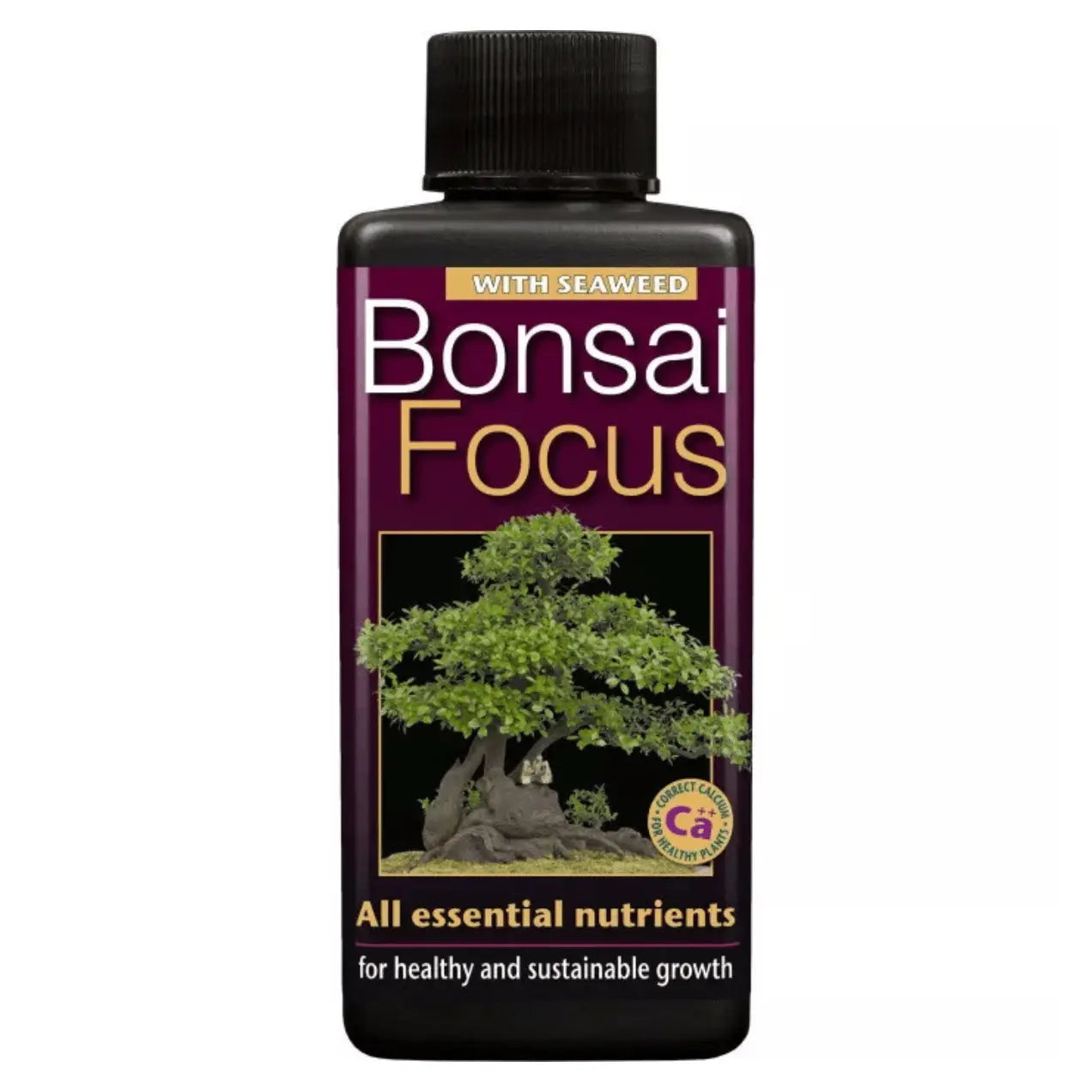 Bonsai Focus Liquid Plant Feed Food Concentrate 100mL Growth Technology