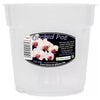 Clear Orchid Pot, 15Cm - Clear Plant Pots for Orchids