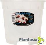 Clear Plastic Orchid Pots 17 cm