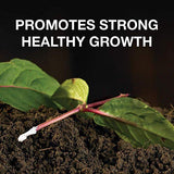 Doff® Natural Hormone Plant Root Rooting Powder 75g