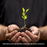 Doff® Natural Hormone Plant Root Rooting Powder 75g