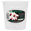 Growth Technology Clear Orchid Pot 12cm