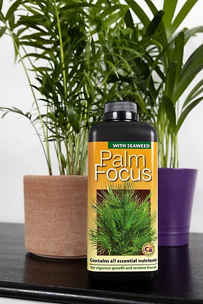 Growth Technology Palm Focus Liquid Concentrated Essential Nutrients 1 liter