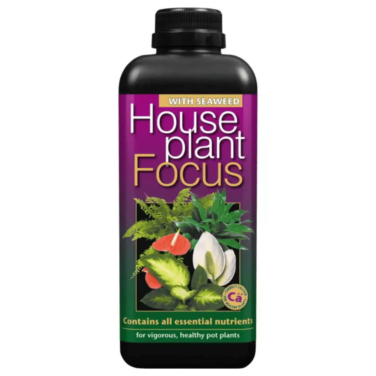 Houseplant Focus Fertiliser Plant Food