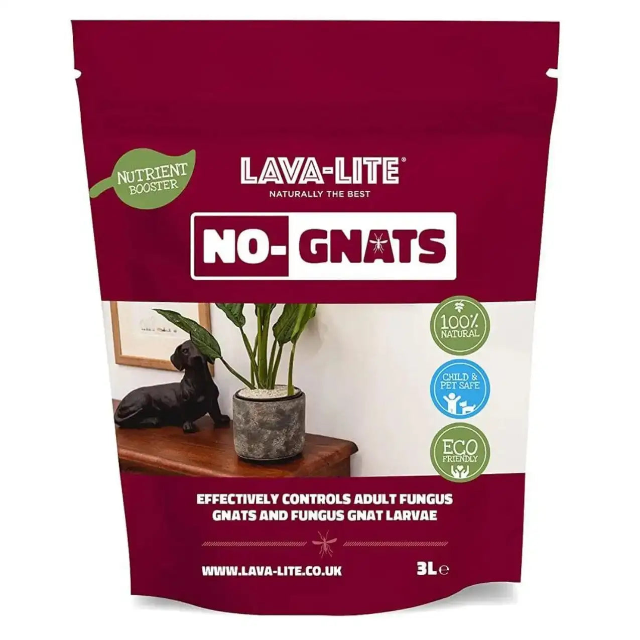 Lava Lite No Gnats Fungus Gnat Control Powder