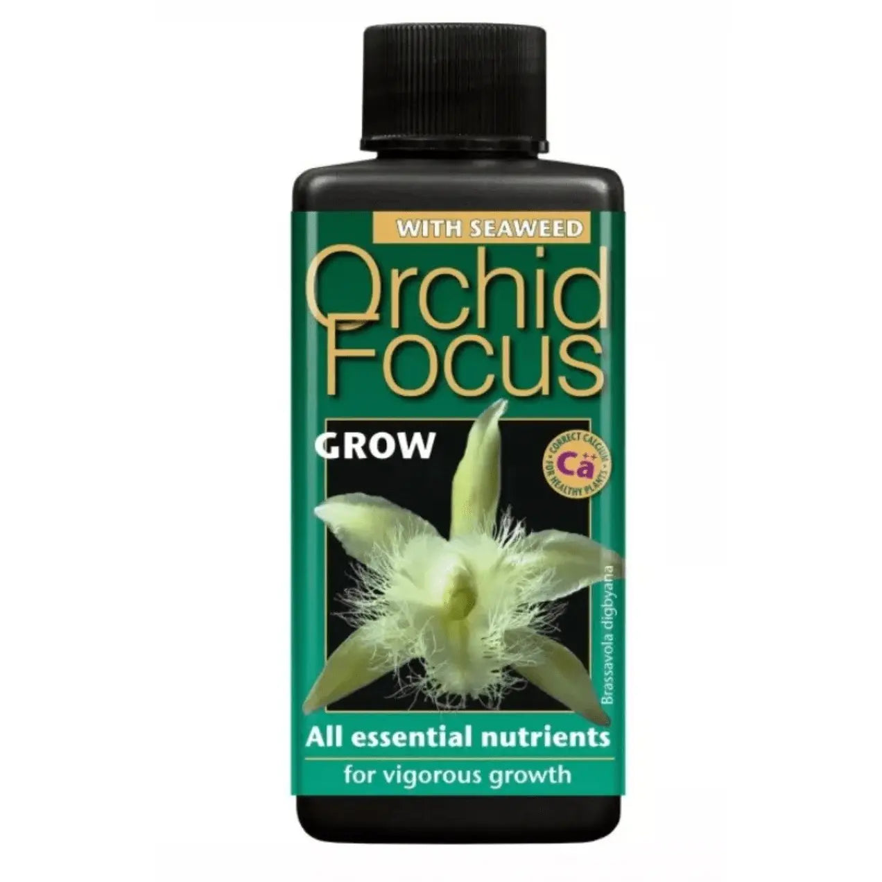 Orchid Focus Grow 100ml Essential Nutrients Enhancing Growth Technology Food