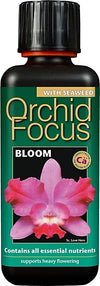 Orchid Focus BloomEssential Nutrients Enhancing Growth Technology Food