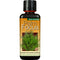 Palm Focus Liquid Plant Food Feed 300ml Growth Technology