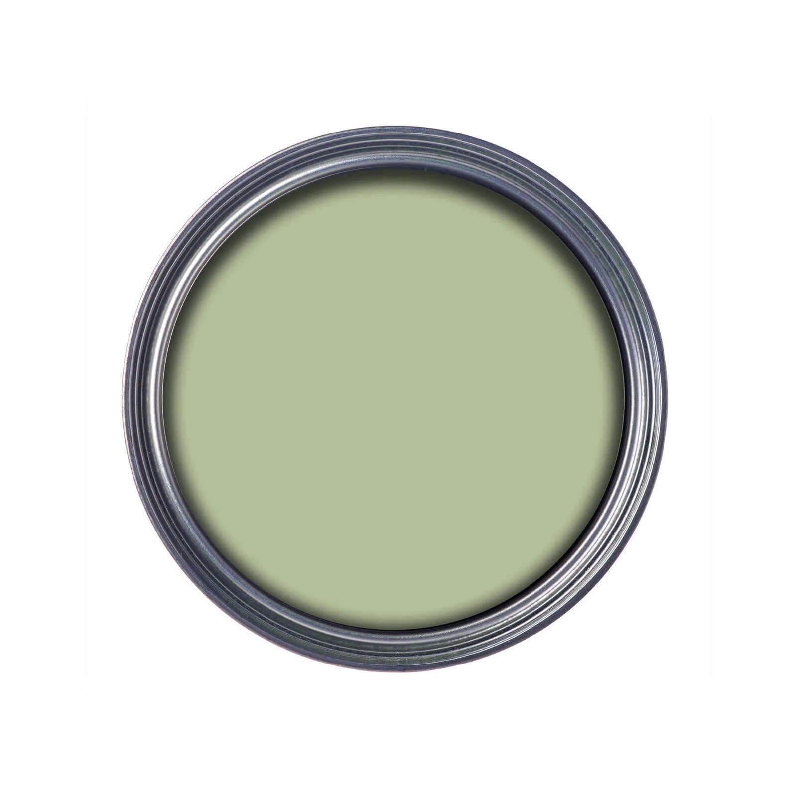 Ronseal General Purpose Garden Paint Sapling Green 2.5l online