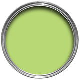 Ronseal Lime Zest Garden Fence Paint - 250ml uk