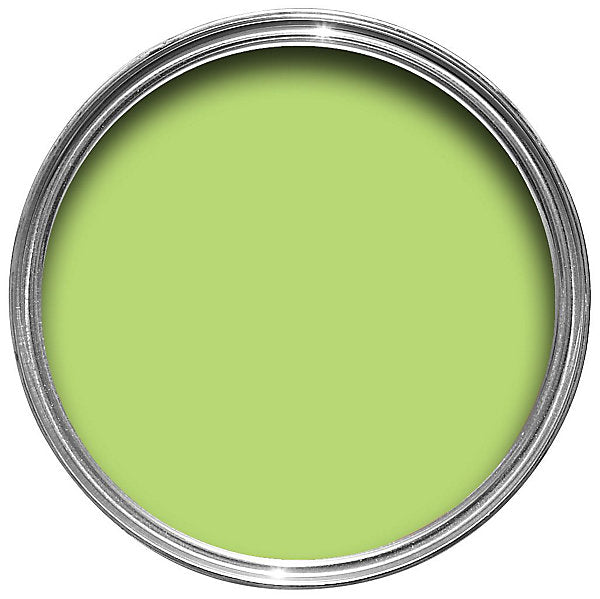 Ronseal Lime Zest Garden Fence Paint - 250ml uk