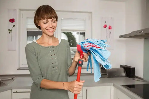 Vileda SuperMocioMop & Handle