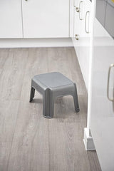 Addis Step Stool, Metallic Silver - FitfitGarden