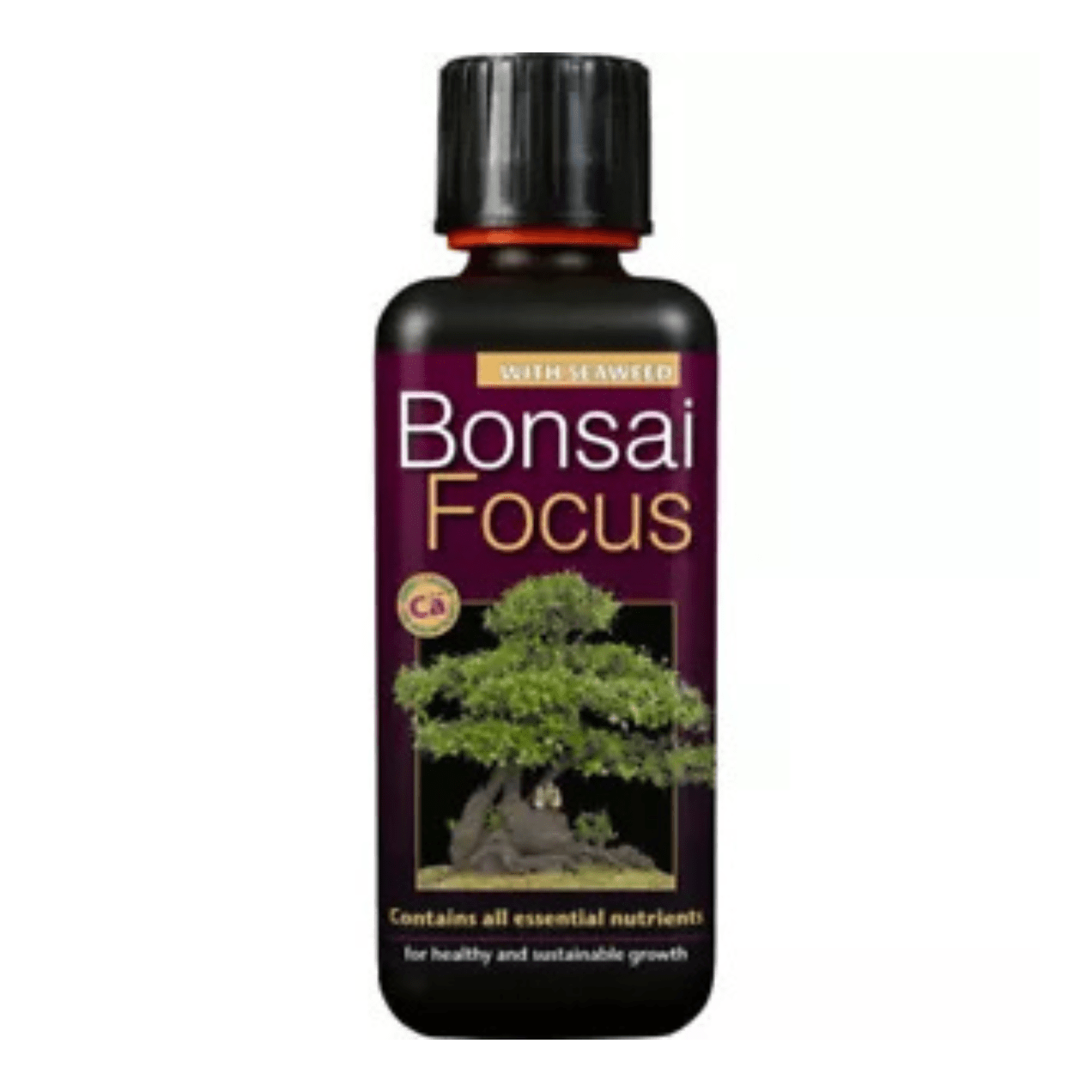 Bonsai Focus 300ml Concentrated Liquid Plant Feed Food Growth Technology - FitfitGarden
