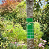 BUGCLEAR INSECT GLUE BARRIER - FitfitGarden