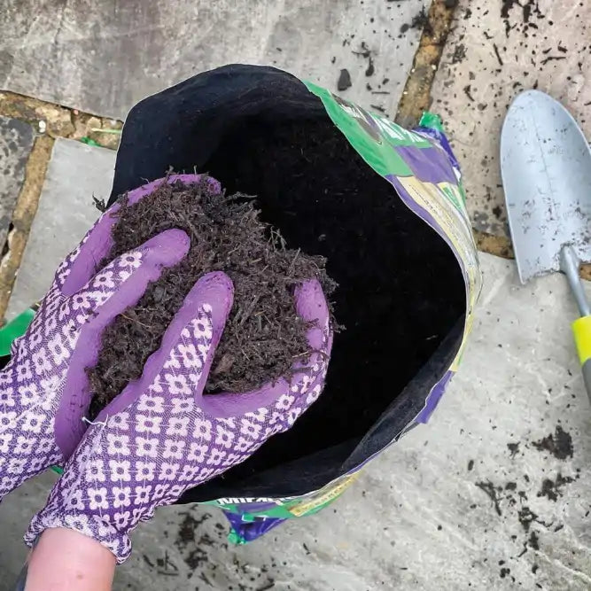 buy bulb fibre compost 10 litre UK