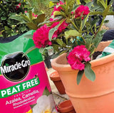 miracle gro compost for rhododendrons and azaleas