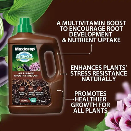 seaweed plant food concentrate 2.5L