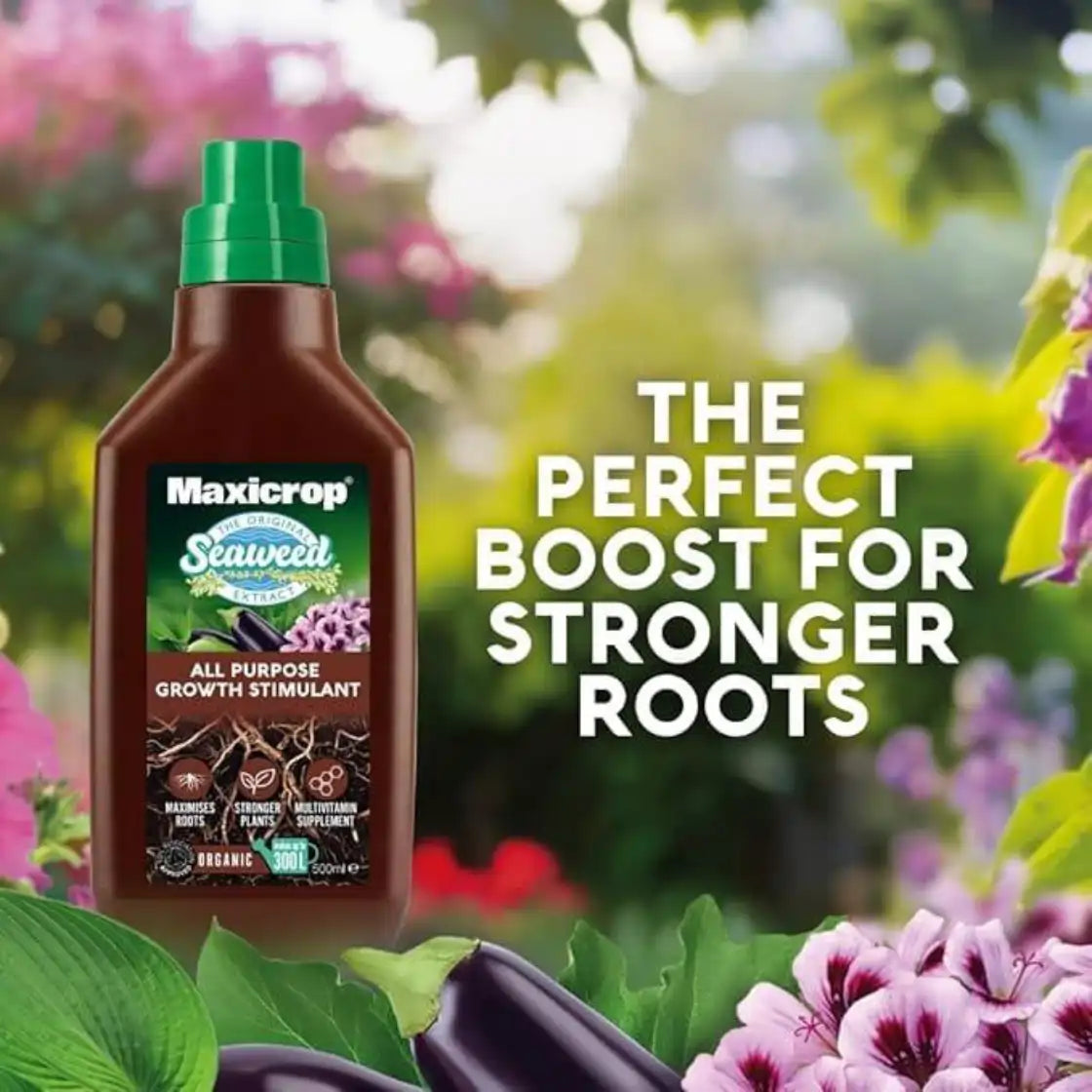 maxicrop organic seaweed plant stimulant 500ml