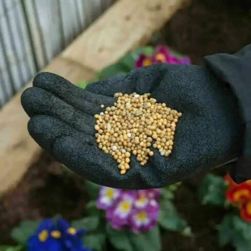 buy miracle-gro plant feed 2kg UK