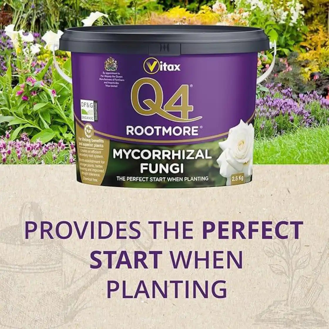 buy rootmore mycorrhizal fungi 2.5kg UK