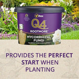 buy rootmore mycorrhizal fungi 2.5kg UK