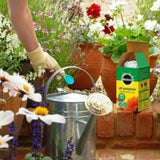 buy miracle-gro all purpose plant food online FitfitGarden