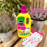 buy miracle-gro all purpose liquid plant feed online FitfitGarden