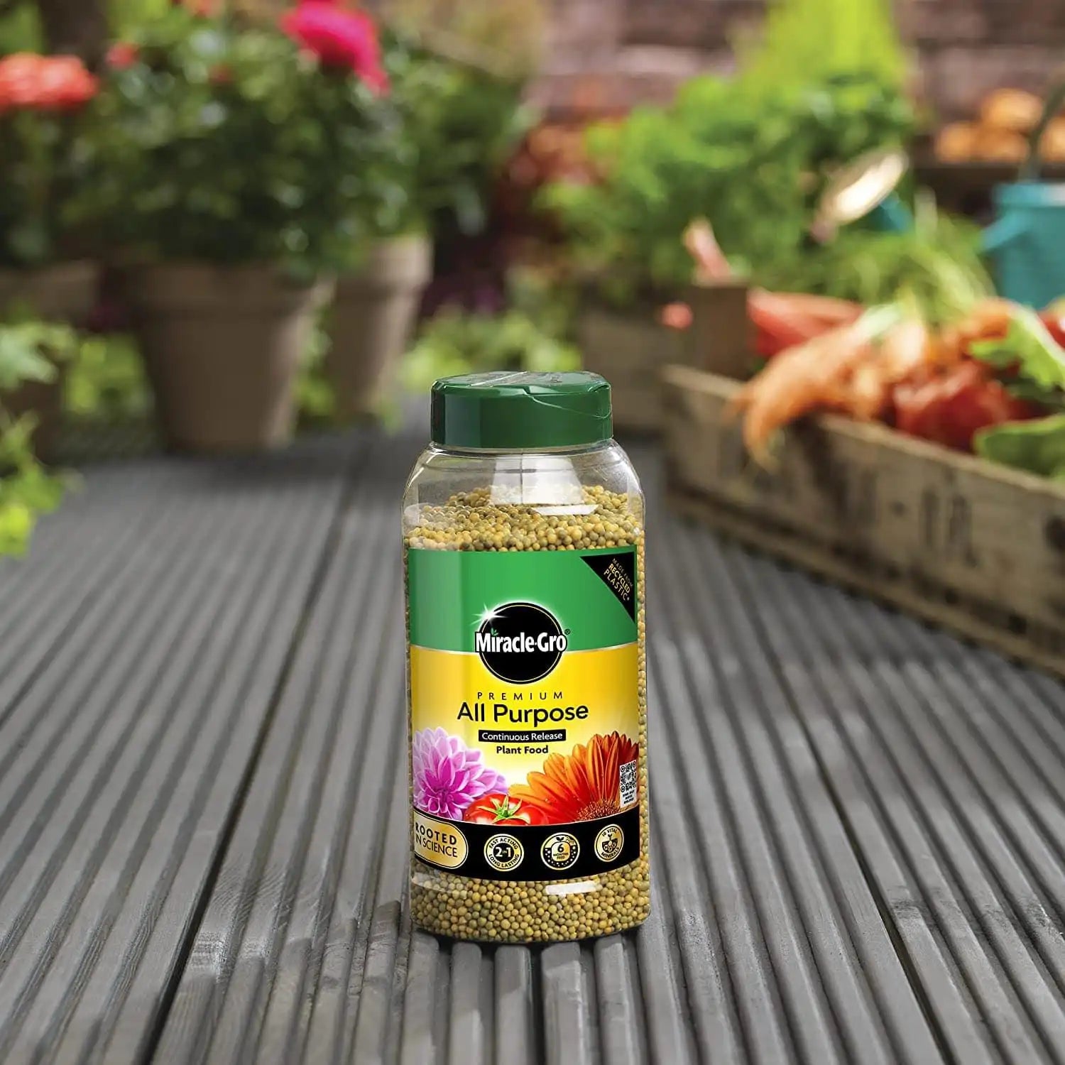 miracle-gro premium all purpose continuous release plant food FitfitGarden
