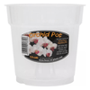 Clear Plastic Orchid Pots 13cm with Saucers - FitfitGarden
