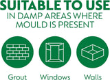 Dettol Mould & Mildew Remover Spray 750ml - FitfitGarden