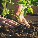 Doff® Tomato Feed Concentrate 1L - FitfitGarden