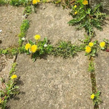 doff advanced weed and root killer for garden