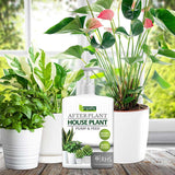 Empathy© After Plant Houseplant Pump & Feed 500ml - FitfitGarden