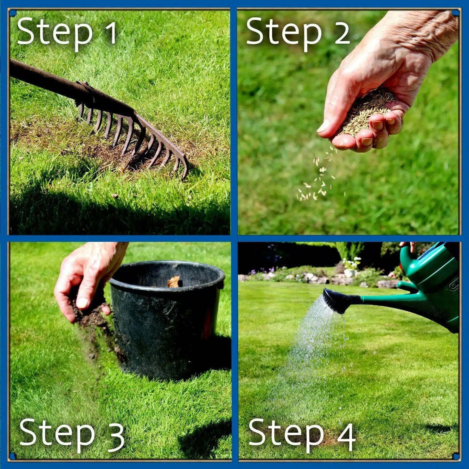 empathy supreme lawn seed for green grass