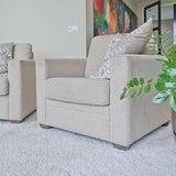 FitfitGarden HG Stain Remover Extra Strong for Carpet & Upholstery HG Stain Remover Extra Strong for Carpet & Upholstery