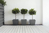 FitfitGarden Ronseal Garden Paint, Charcoal Grey, 750ml Ronseal Garden Paint, Charcoal Grey, 750ml