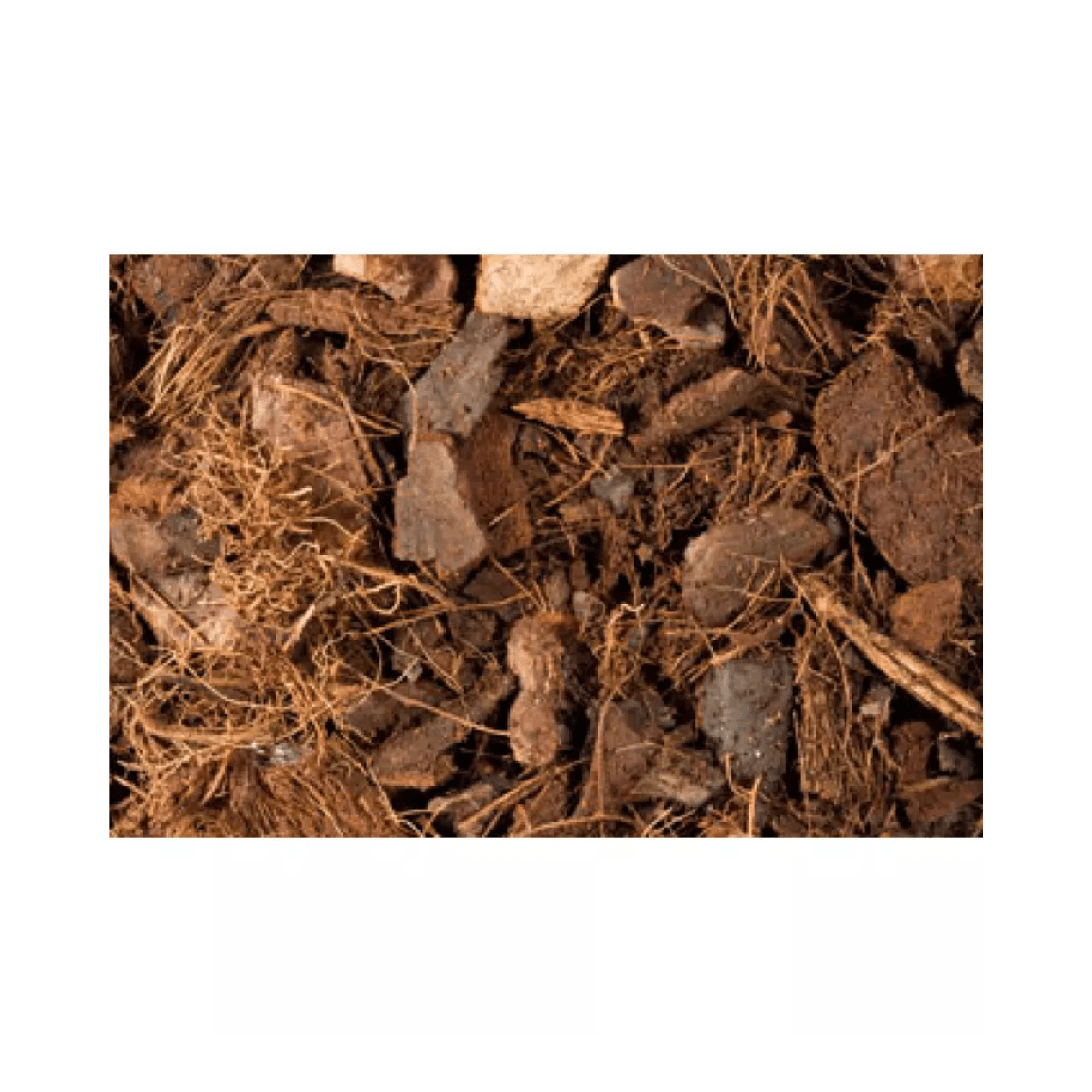 Growth Technology - Orchid Focus Re - Potting Mix Compost 3 Litre - FitfitGarden