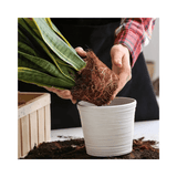 Houseplant Focus - Growth Technology Potting Mix - Peat - Free Professional Grade - FitfitGarden