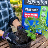 Levington® Peat Free John Innes No.3 - FitfitGarden