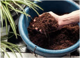 Miracle - Gro Peat - Free Mediterranean & Citrus Compost, 10L - FitfitGarden