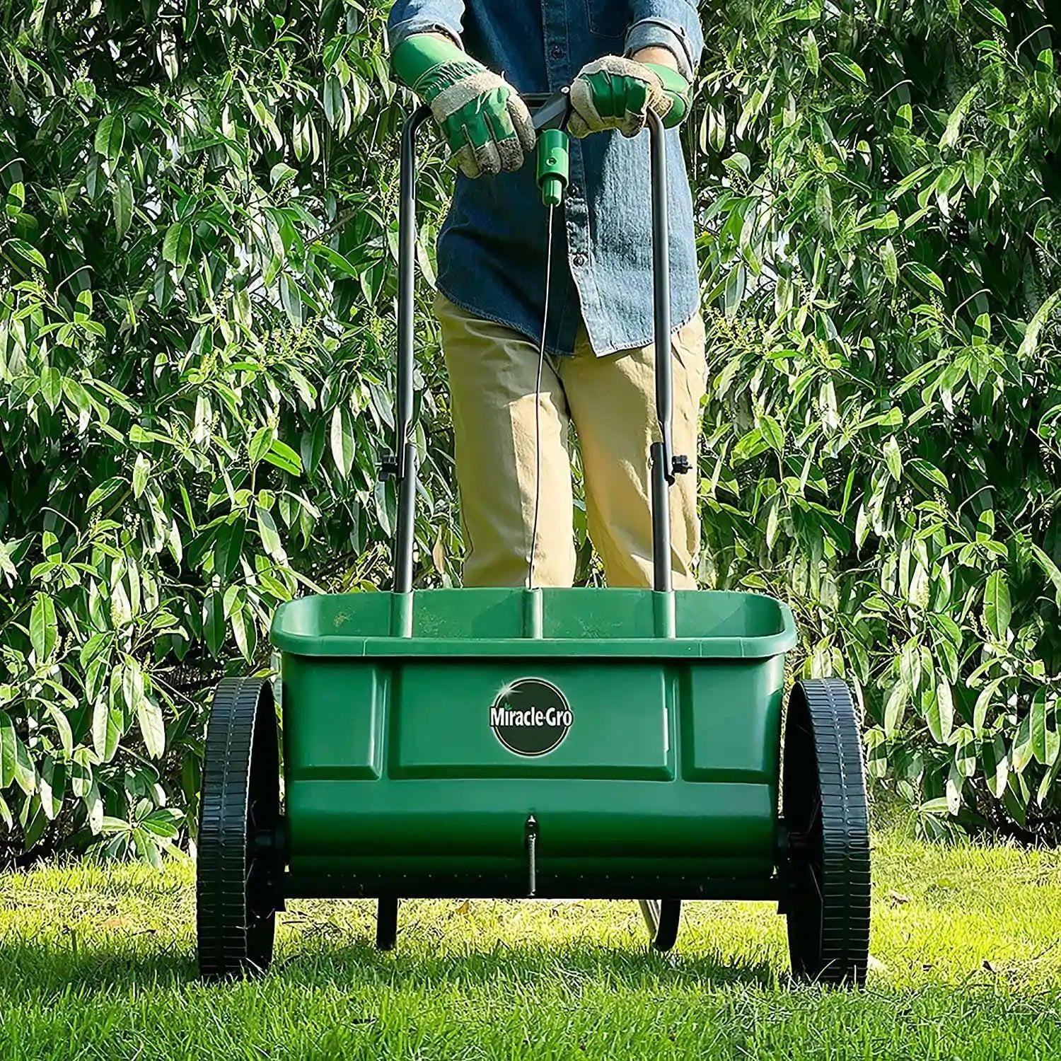 miracle-gro lawn drop spreader for seeds and fertilizer FitfitGarden