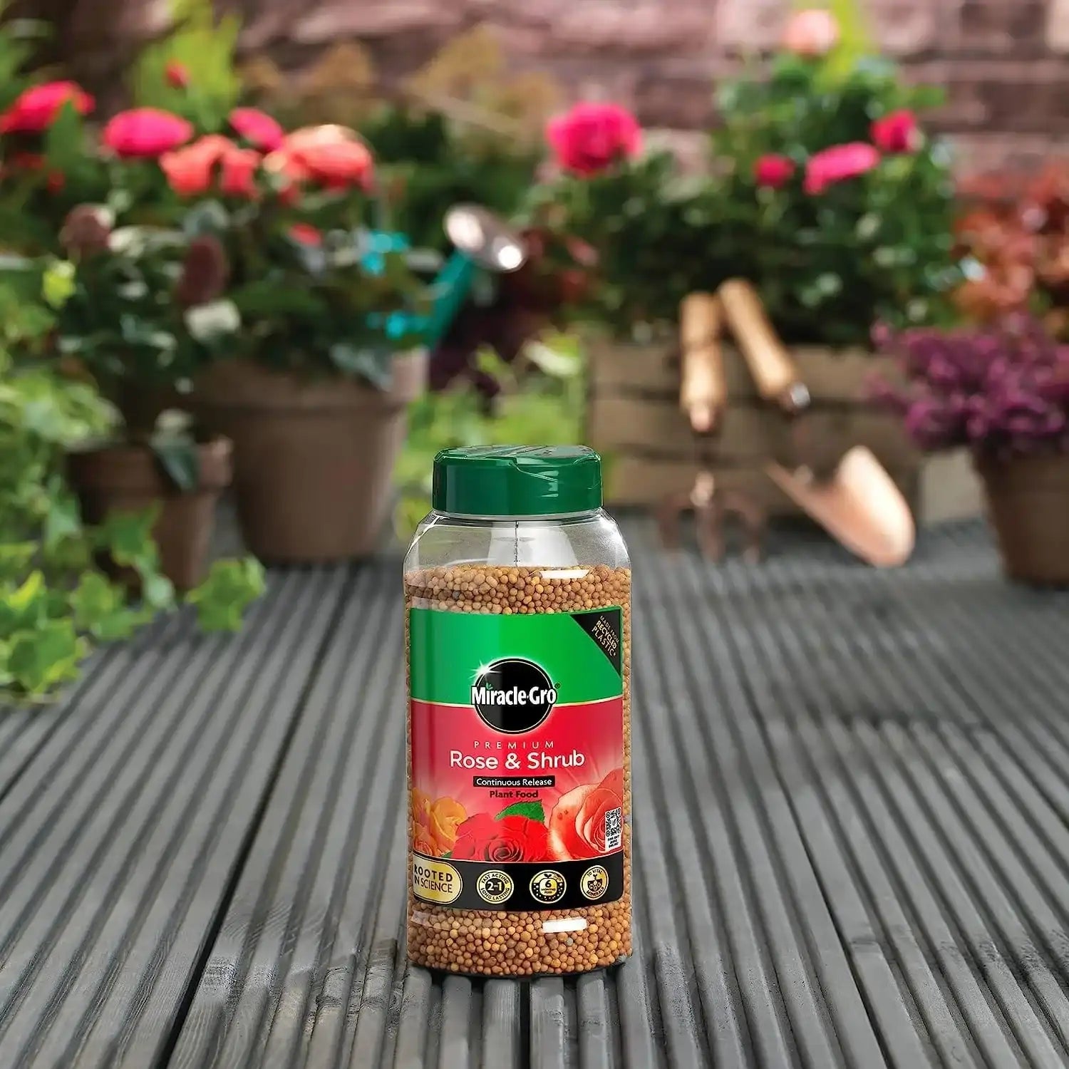buy miracle-gro premium rose and shrub plant food online FitfitGarden