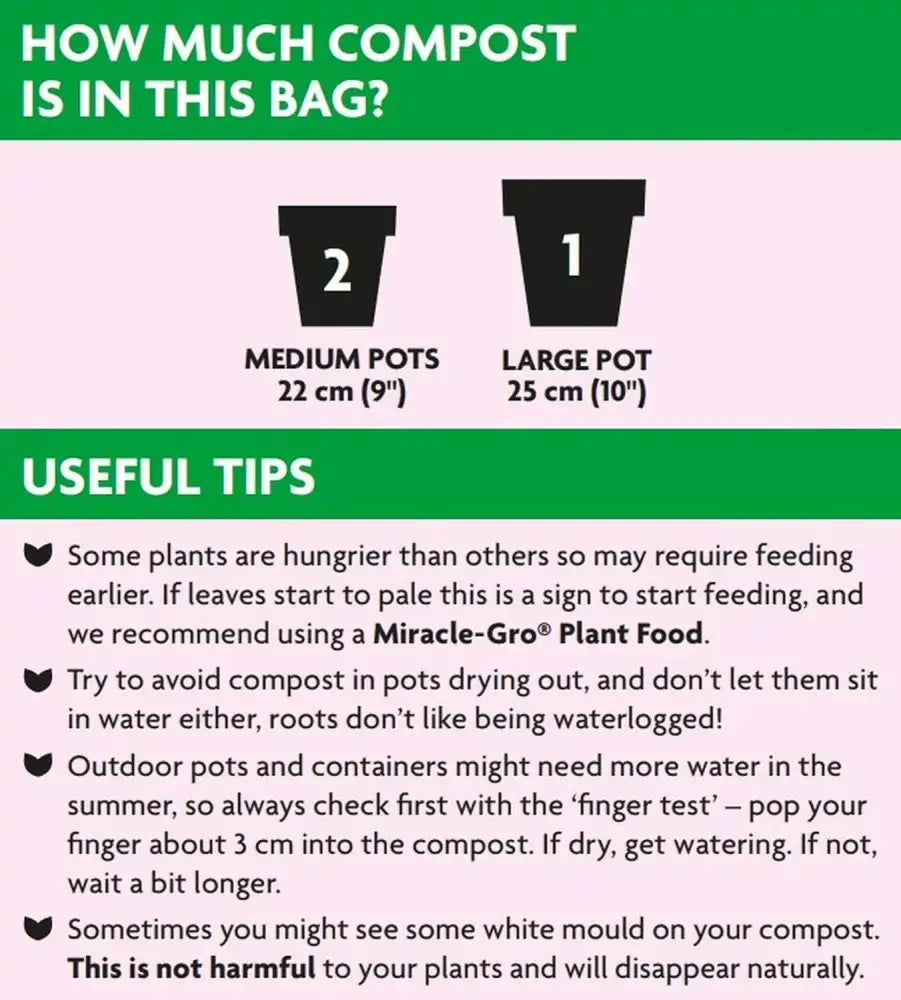 peat free compost for acid loving plants UK