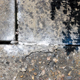 Nippon Ant & Insect Killer Powder