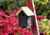 Ronseal Garden Paint, Black Bird, 750ml - FitfitGarden
