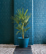 Ronseal Garden Paint Midnight Blue 750ml - FitfitGarden