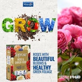 Toprose Rose and Shrub Feed 1kg - FitfitGarden