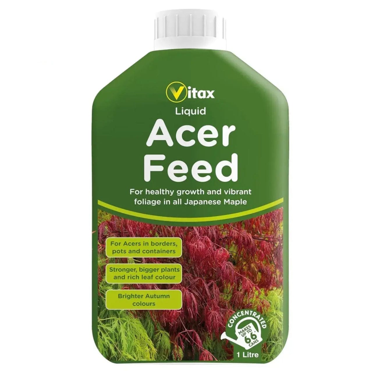 Vitax® Acer Liquid Feed 1L - FitfitGarden
